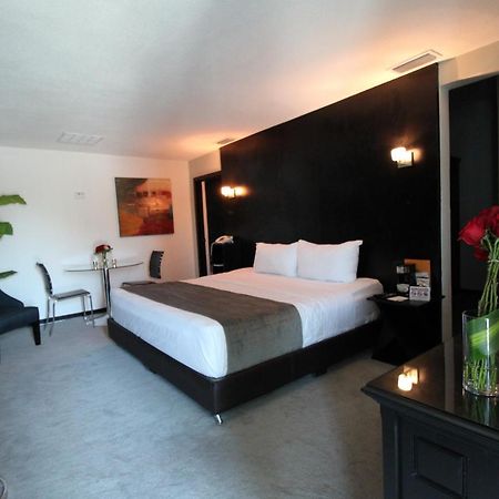 Stay Inn Hotels Reynosa Exteriér fotografie